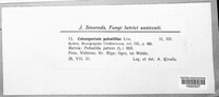 Image Associated With the Occurence